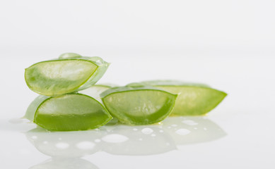 Fresh aloe vera leaves on white background