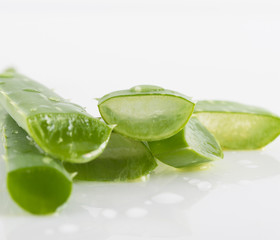 Fresh aloe vera leaves on white background