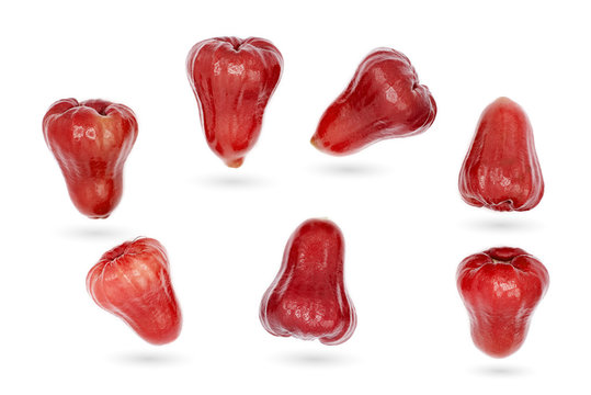 Fresh rose apple isolated on white background.