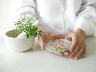 scientist or doctor making herbal medicine with herb leaves , capsule, tablets. hands.