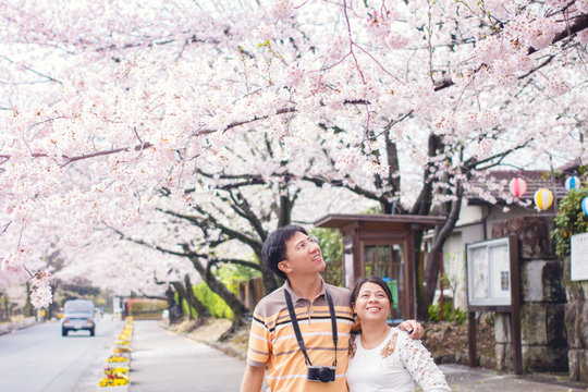 Young Asian loving Couple lover traveller sightseeing sakura or cherry blossom in blossom spring garden at Kumamoto Japan, Love and tenderness, Romantic dating, Happy couple in love honeymoon in japan
