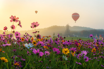 Colorful hot air balloons in the early morning