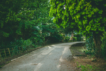 Fototapeta premium Nature