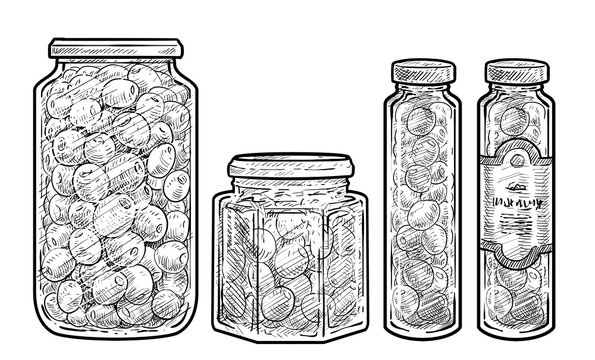 Olives bottles illustration, drawing, engraving, ink, line art, vector