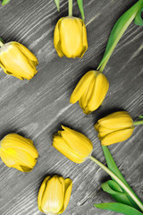Yellow tulips on an antique wooden background