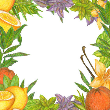 Raster sketchy vivid side frame made with aromatic fruits and plants. Food, catering, natural, perfume themes, design element, printed goods. Decoration for different purposes.