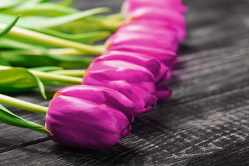purple tulips on an antique wooden background