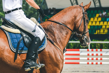 Man in white uniform and sorrel horse at show jumping competition. Equestrian sport background....