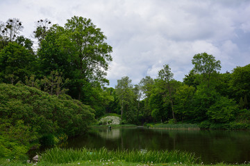 Fototapeta na wymiar Spring landscape with pond, green grass and trees. Park 