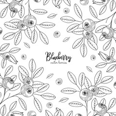 Hand drawn illustrations of blueberry isolated on white background. Detailed frame with blueberries. Engraving sketch vintage style. Applicable for menu, brochures, flyers