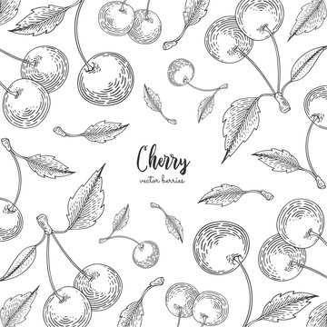 Hand drawn illustrations of cherries isolated on white background. Detailed frame for menu, promotion, advertising, greeting cards, wrapping paper, cosmetics packaging, labels, flyer.
