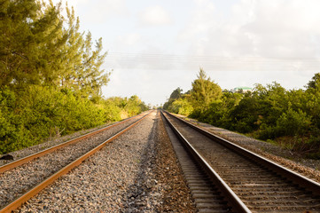 Fototapeta na wymiar Florida railroad tracks