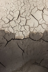 Dry сracked earth