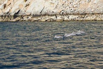 Khasab, Musandam  in Oman