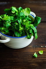 Organic food concept