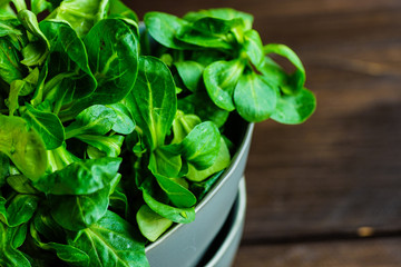 Organic food concept