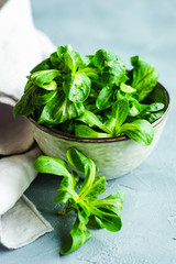 Organic food concept