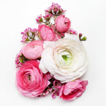 floral composition with a pink Ranunculus flowers on white background. Flat lay