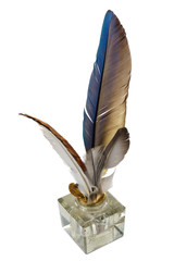 Feathers in the inkpot, on a white background, isolated