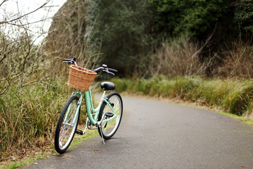 Women's bicycle on a bike path.