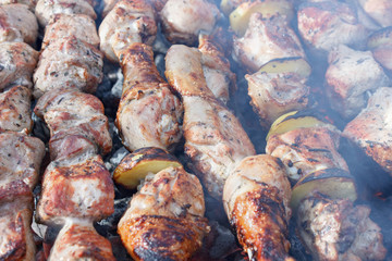 Making barbecue on the fire, view close-up