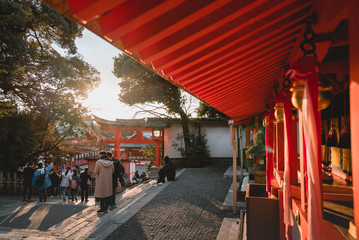 Obraz na płótnie Canvas Fushimi Inari Shrine, shrine, Torii