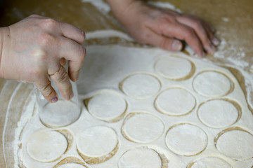 Housewife making the dough for dumplings