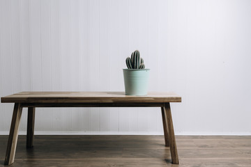 Green potted cactus on wooden bench near white wall.
