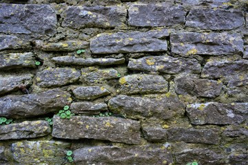 Stone Wall Texture