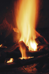 Close up of burning firewood in the fireplace.