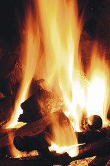 Close up of burning firewood in the fireplace