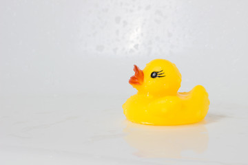 Yellow plastic ducks at bathtub
