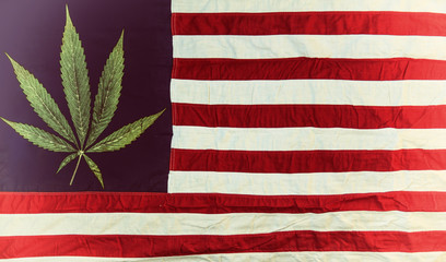 Marijuana leaf on an old American flag. Cannabis legalization in the United States of America.