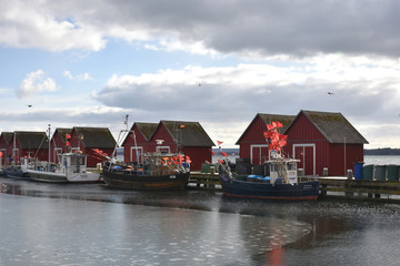 Fototapeta na wymiar Fischerhütten mit Hafen an der eisigen Ostsee im Februar, Boltenhagen - Weiße Wiek