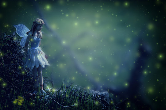 Fototapeta image of magical little fairy in the night forest.
