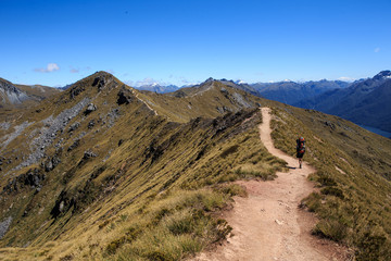 Lone hiker walking along a ridge line on the Kepler Track in New Zealand. The trail can be seen moving from peak to peak in the distance.