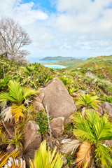 Beautiful view on Anse Lazio tropical beach from Chenard Mountain near Morne Grand fond, Praslin, Seychelles