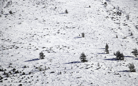 Ski trail snow
