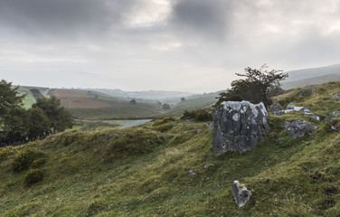 Misty Morning In The Brecon Beacons