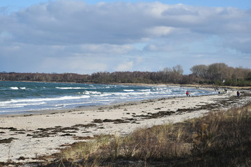 Ostseeküste - Boltenhagen zur kalten Jahreszeit, Mecklenburg-Vorpommern