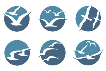 Obraz premium kolekcja ikony z latającymi sylwetkami mewy