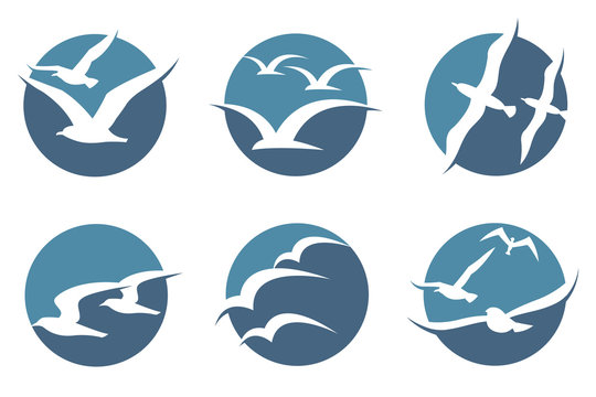 Collection Of Icon With Flying Seagull Silhouettes