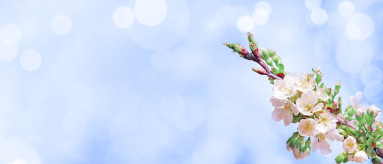 Der Frühling ist da!