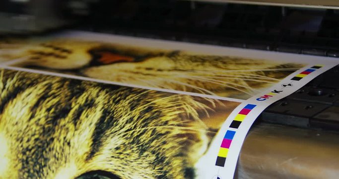 Inkjet plotter printing funny cat picture. Digital cmyk print process in loop seamless animation.