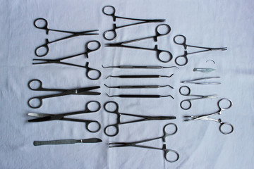 surgical instruments and tools including scalpels, forceps and tweezers arranged laid out on a blue fabric after washing to dry for a surgery. veterinary clinic