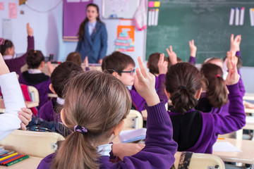 Obraz premium school children are participating actively in class. Education