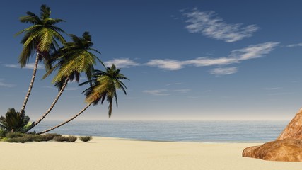 Fototapeta na wymiar Three palms on the beach