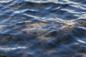See through water/Rays of light hitting the bottom of a lakes stones and sand as seen through the clear wavy water.