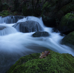 Fototapeta premium Waterfall