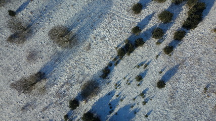 Aerial view of winter frozen forest covered in snow